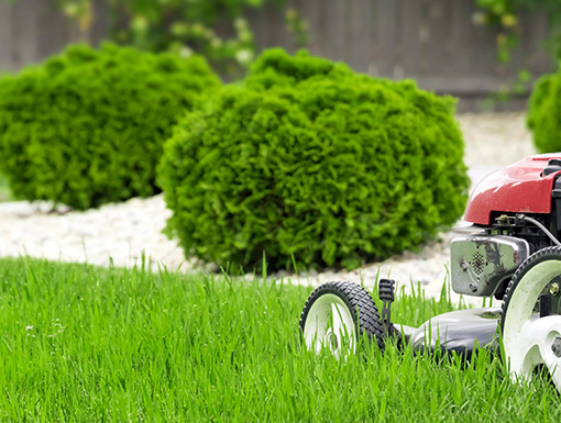 Profesionalno uređenje zelenih površina, dvorišta i okućnica u Tuzlanskom kantonu. Kontaktirajte Bašta d.o.o. Tuzla i saznajte zašto smo najbolji!!