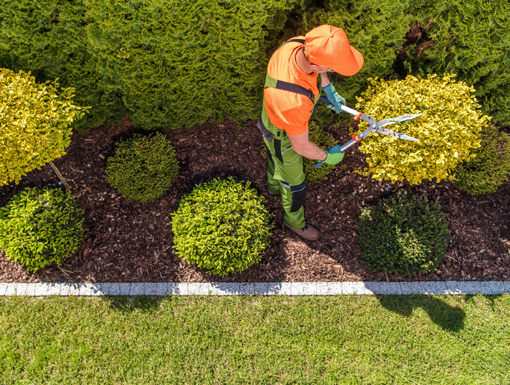 Profesionalno uređenje zelenih površina, dvorišta i okućnica u Tuzlanskom kantonu. Kontaktirajte Bašta d.o.o. Tuzla i saznajte zašto smo najbolji!!