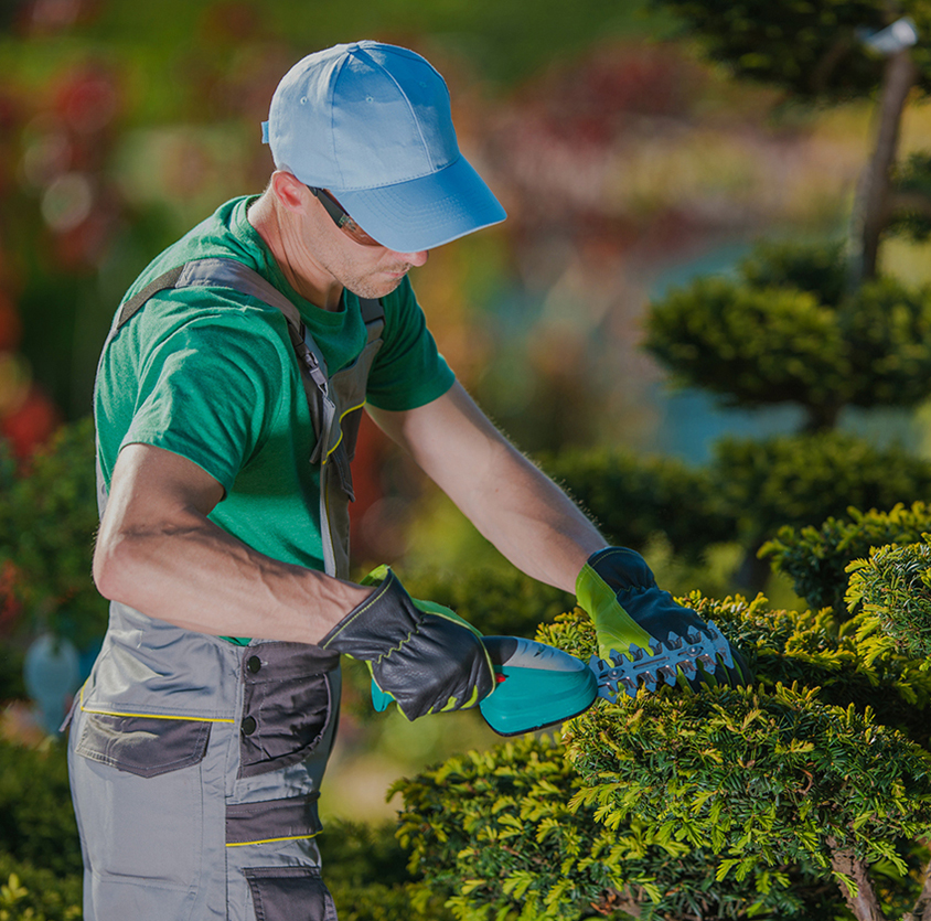 Profesionalno uređenje zelenih površina, dvorišta i okućnica u Tuzlanskom kantonu. Kontaktirajte Bašta d.o.o. Tuzla i saznajte zašto smo najbolji!!